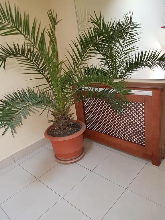 Hotel Iris Arad Ngoại thất bức ảnh